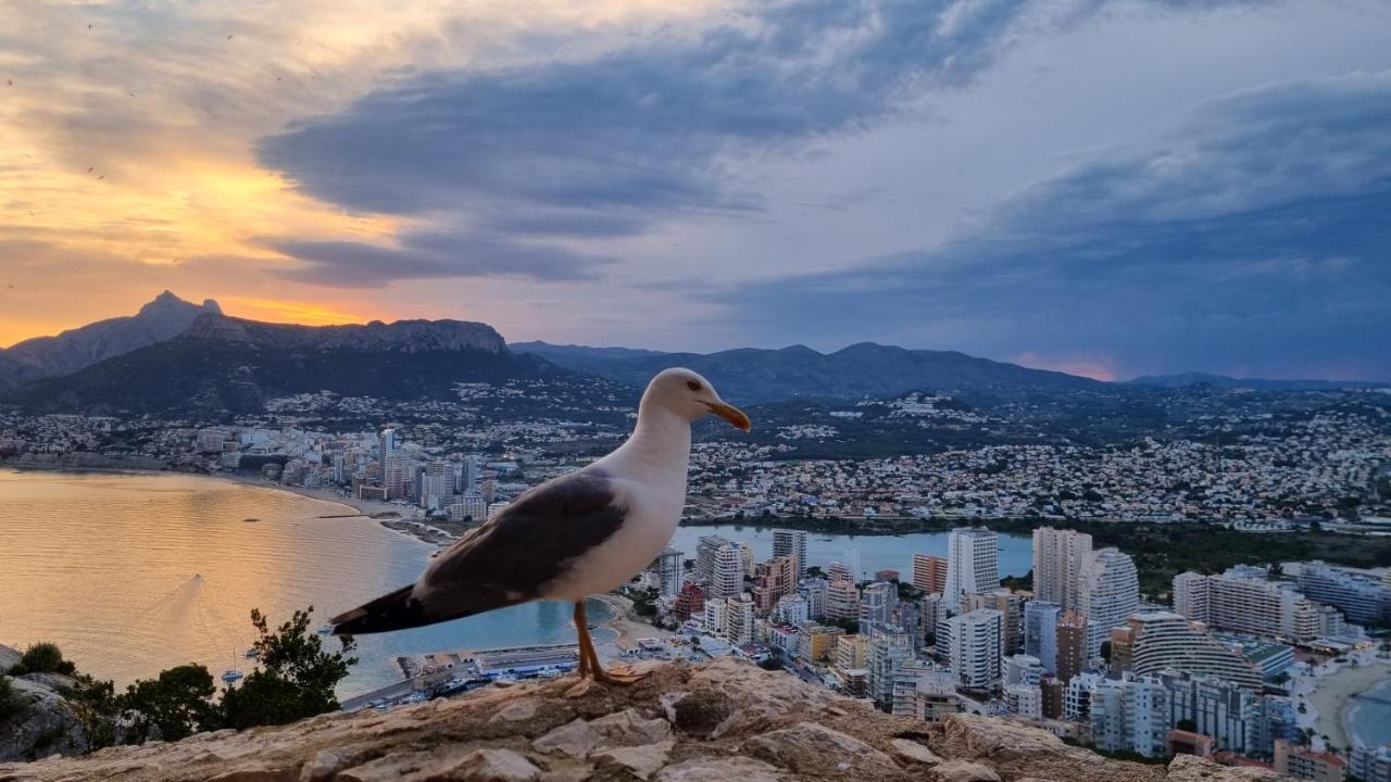 Apartmán Damara Calpe Exteriér fotografie